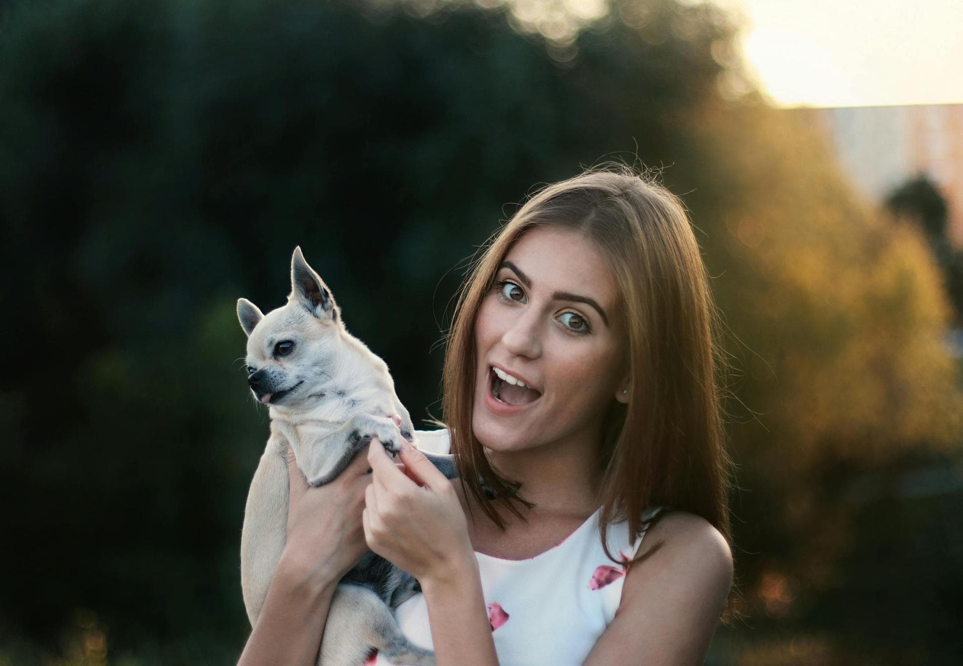 Best Vets in Knaresborough