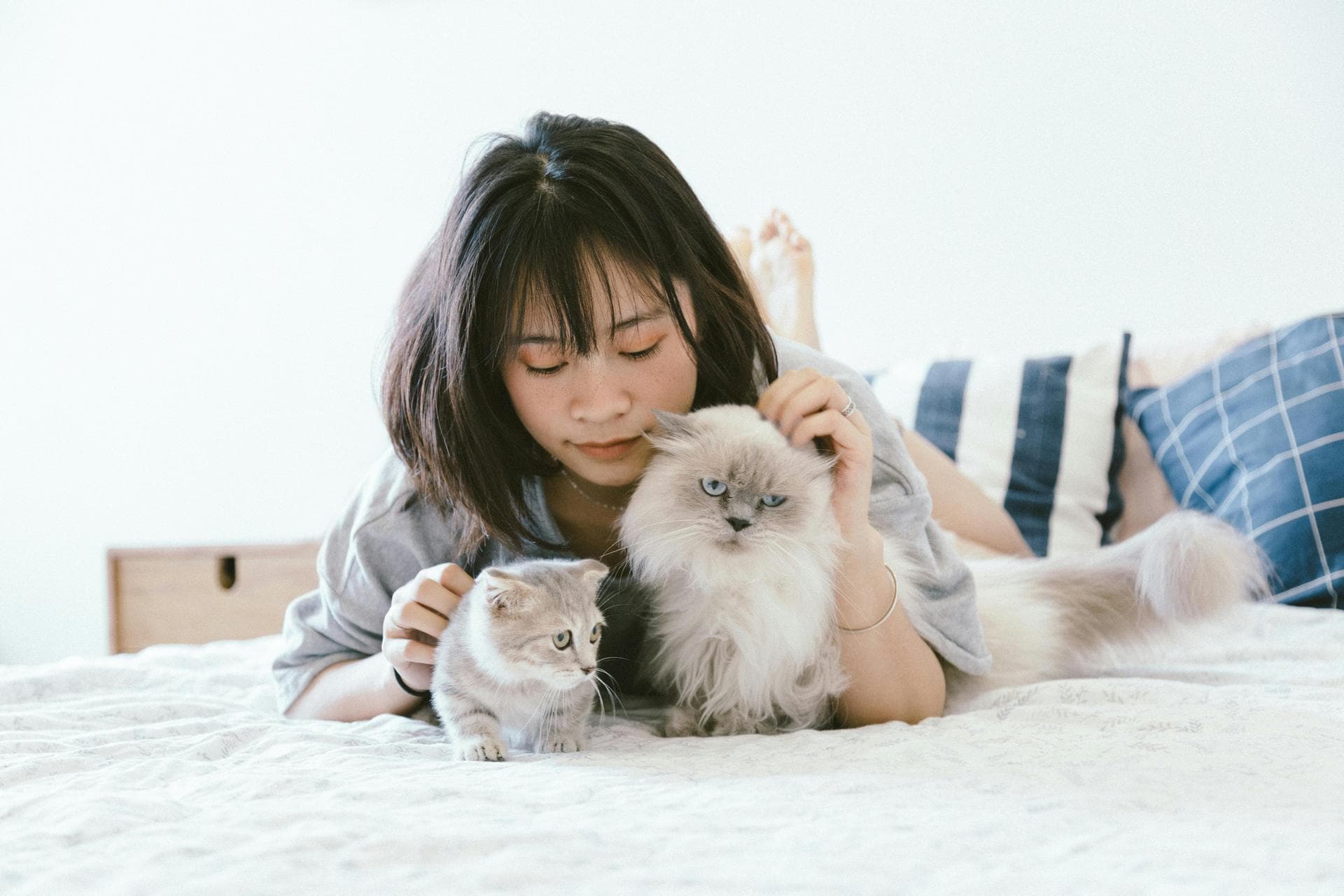 Dog & Cat Vets in Malton